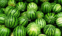 吃瓜爆料作品几点发好,吃瓜爆料作品最佳发布时间揭秘